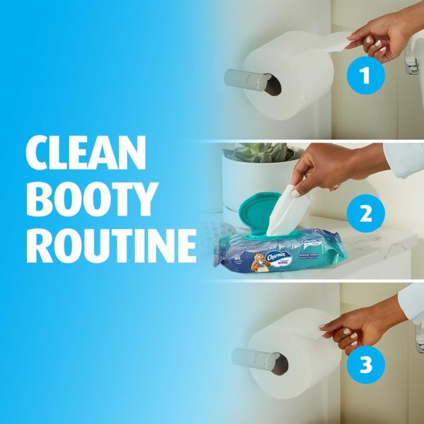 Charmin Flushable Wipes, 160 Total Wipes (4 Packs of 40) - Image 6