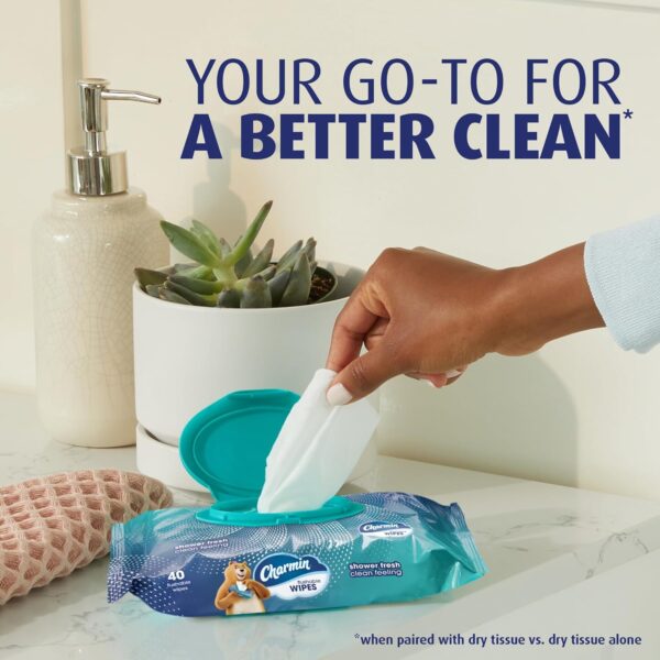 Charmin Flushable Wipes, 160 Total Wipes (4 Packs of 40) - Image 2