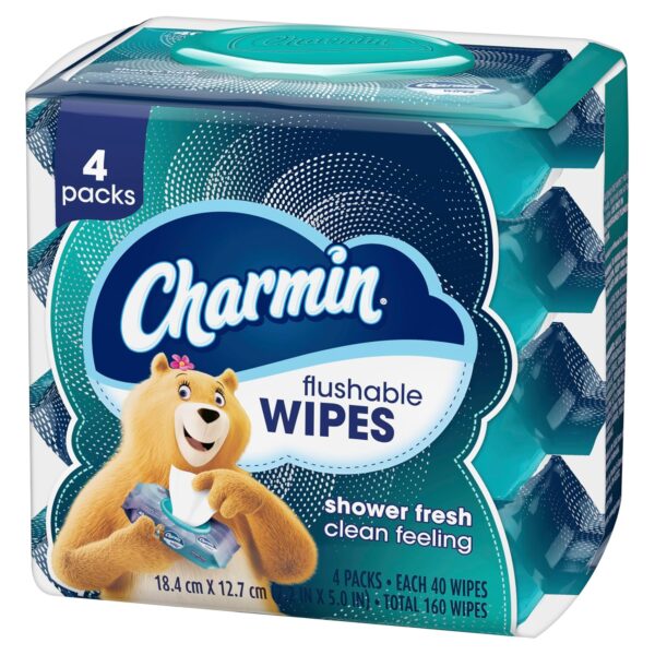 Charmin Flushable Wipes, 160 Total Wipes (4 Packs of 40) - Image 8